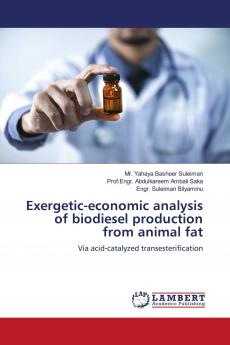 Exergetic-economic analysis of biodiesel production from animal fat
