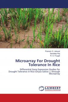 Microarray For Drought Tolerance In Rice