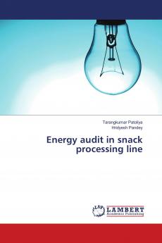 Energy audit in snack processing line