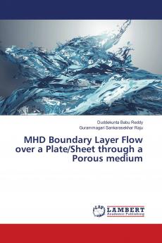 MHD Boundary Layer Flow over a Plate/Sheet through a Porous medium