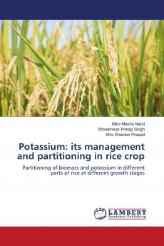 Potassium: its management and partitioning in rice crop