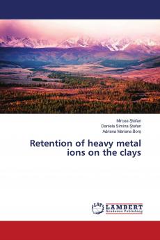 Retention of heavy metal ions on the clays