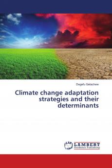 Climate change adaptation strategies and their determinants