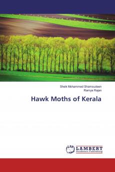 Hawk Moths of Kerala