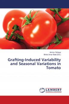 Grafting-Induced Variability and Seasonal Variations in Tomato