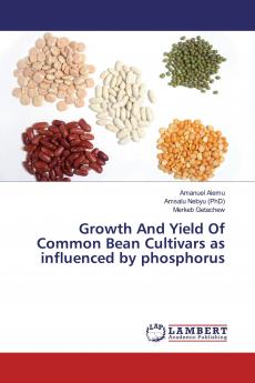 Growth And Yield Of Common Bean Cultivars as influenced by phosphorus