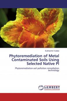 Phytoremediation of Metal Contaminated Soils Using Selected Native Pl