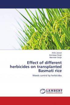 Effect of different herbicides on transplanted Basmati rice