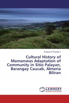 Cultural History of Mamanwas Adaptation of Community in Sitio Palayan Barangay Caucab Almeria Biliran