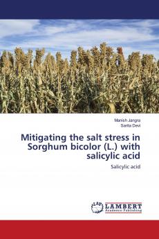 Mitigating the salt stress in Sorghum bicolor (L.) with salicylic acid