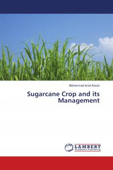 Sugarcane Crop and its Management