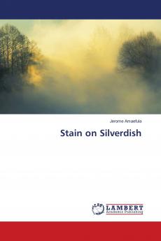 Stain on Silverdish