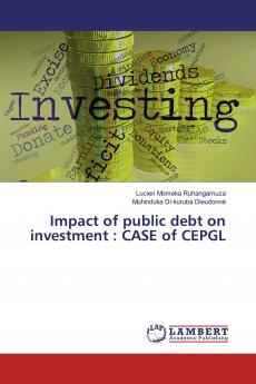 Impact of public debt on investment