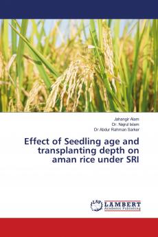 Effect of Seedling age and transplanting depth on aman rice under SRI