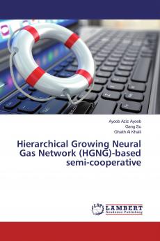 Hierarchical Growing Neural Gas Network (HGNG)-based semi-cooperative