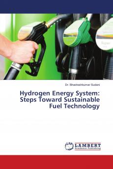Hydrogen Energy System: Steps Toward Sustainable Fuel Technology