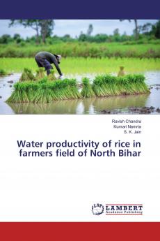 Water productivity of rice in farmers field of North Bihar