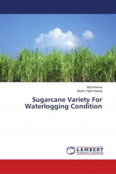 Sugarcane Variety For Waterlogging Condition
