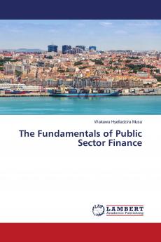 The Fundamentals of Public Sector Finance