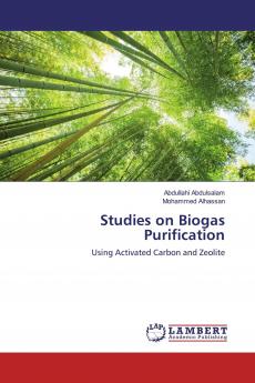 Studies on Biogas Purification