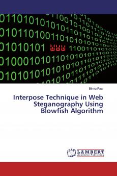 Interpose Technique in Web Steganography Using Blowfish Algorithm
