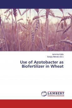 Use of Azotobacter as Biofertilizer in Wheat