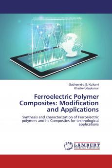 Ferroelectric Polymer Composites: Modification and Applications