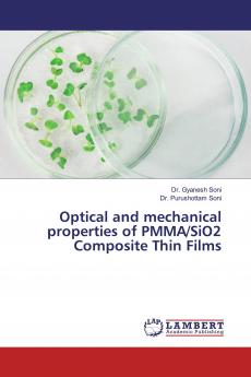 Optical and mechanical properties of PMMA/SiO2 Composite Thin Films