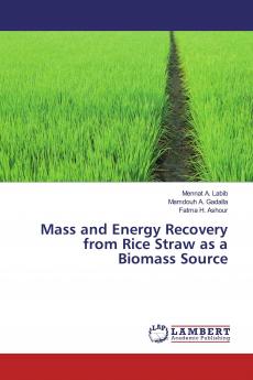 Mass and Energy Recovery from Rice Straw as a Biomass Source