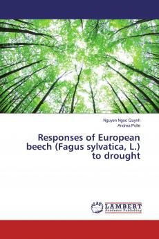 Responses of European beech (Fagus sylvatica L.) to drought