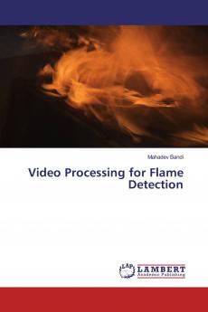 Video Processing for Flame Detection