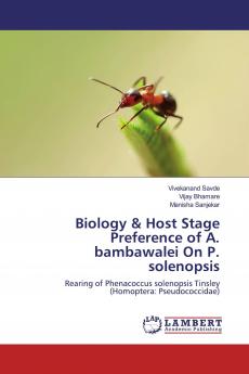 Biology & Host Stage Preference of A. bambawalei On P. solenopsis