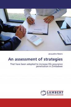 An assessment of strategies