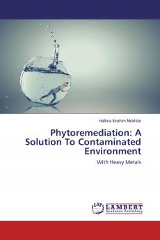 Phytoremediation: A Solution To Contaminated Environment