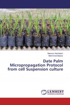 Date Palm Micropropagation Protocol from cell Suspension culture