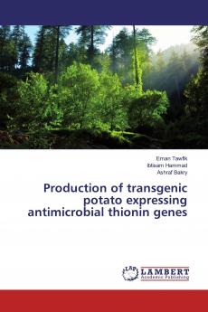 Production of transgenic potato expressing antimicrobial thionin genes