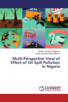 Multi-Perspective View of Effect of Oil Spill Pollution in Nigeria