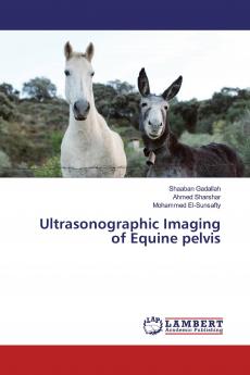 Ultrasonographic Imaging of Equine pelvis