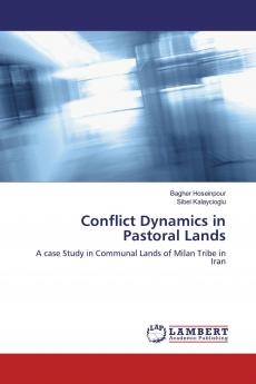 Conflict Dynamics in Pastoral Lands