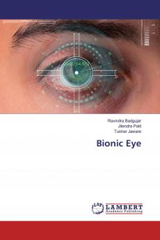 Bionic Eye