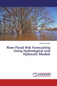 River Flood Risk Forecasting Using Hydrological and Hydraulic Models