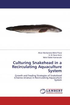 Culturing Snakehead in a Recirculating Aquaculture System