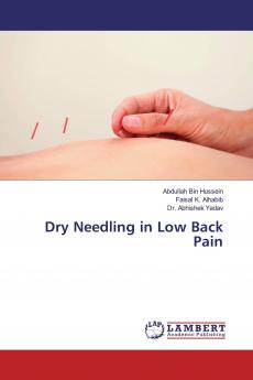 Dry Needling in Low Back Pain