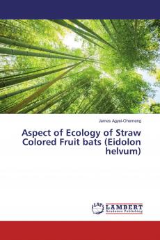 Aspect of Ecology of Straw Colored Fruit bats (Eidolon helvum)