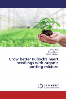 Grow better Bullock's heart seedlings with organic potting mixture