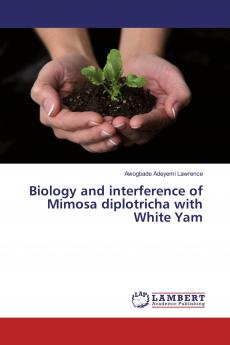Biology and interference of Mimosa diplotricha with White Yam