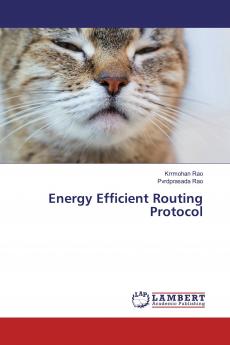 Energy Efficient Routing Protocol