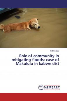 Role of community in mitigating floods: case of Makululu in kabwe dist