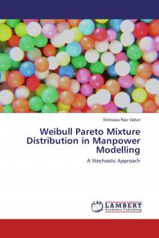 Weibull Pareto Mixture Distribution in Manpower Modelling