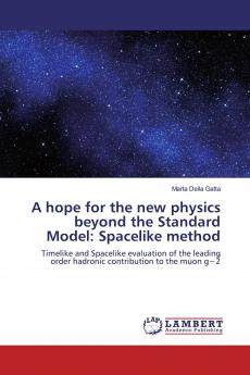 A hope for the new physics beyond the Standard Model: Spacelike method
